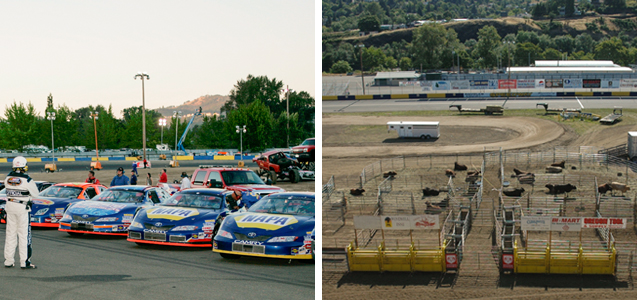 Nascar Racing & Rodeos